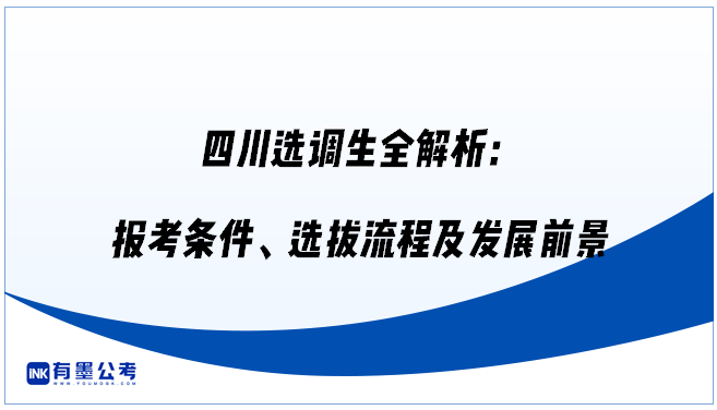 四川选调生全解析：报考条件、选拔流程及发展前景